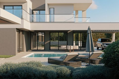 2 bedrooms Villa in Kouklia, Paphos,  No. 41040 11