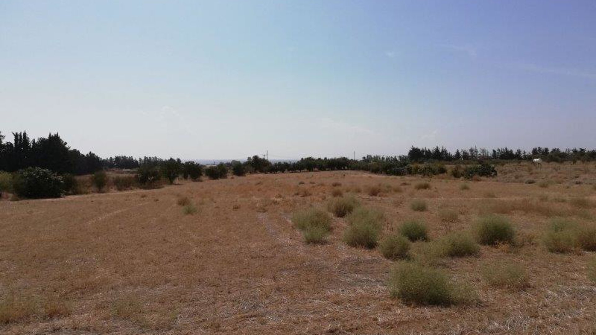 Terrain à Mandria, Paphos, Chypre No. 26098