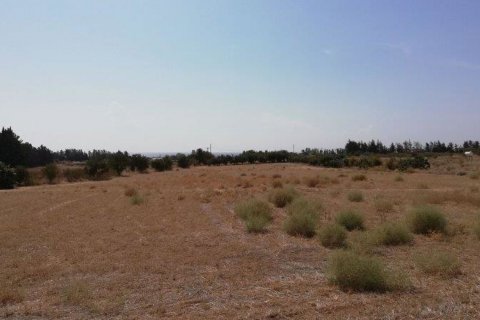Terrain à Mandria, Paphos, Chypre No. 26098