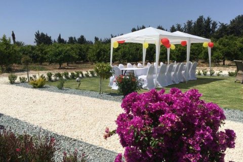 4 bedrooms Villa in Timi, Paphos, Cyprus No. 26022