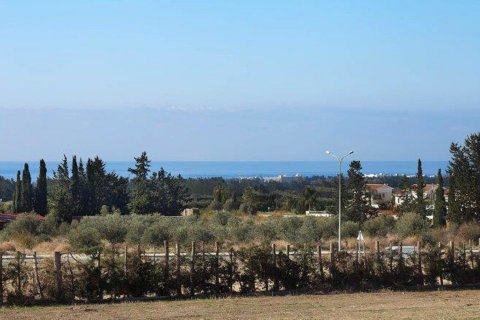 2 bedrooms Townhouse in Paphos, Cyprus No. 25957