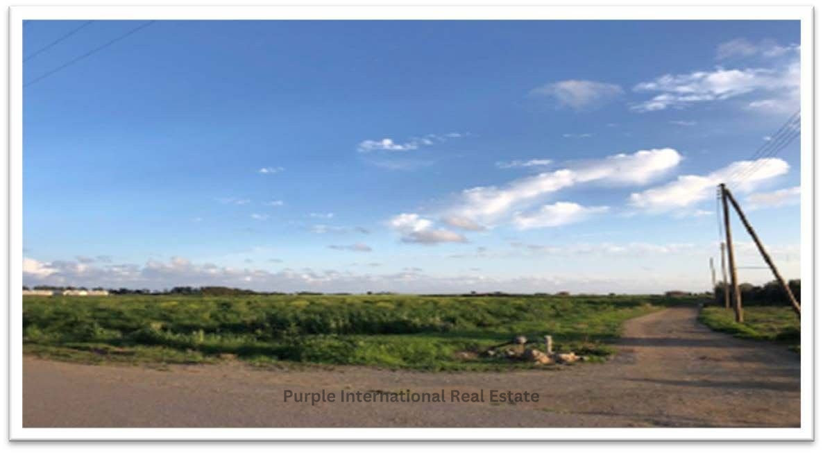 Land in Mandria, Paphos, Cyprus No. 36977