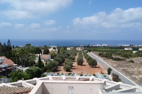 7 chambres Villa à Pegeia, Paphos, No. 56607 4