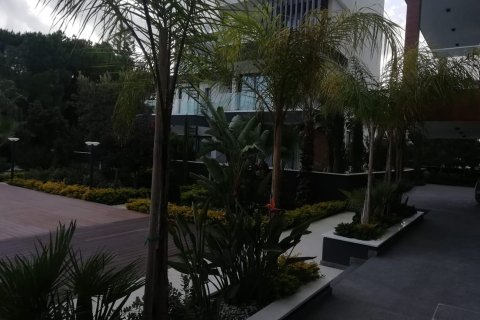 1 bedroom Apartment in Limassol, No. 45634 5