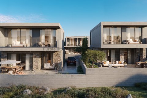 Вилла с 3 спальнями в Героскипу, Пафос,  № 37661 11