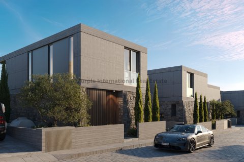 Вилла с 3 спальнями в Героскипу, Пафос,  № 37661 22