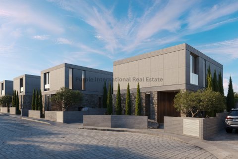 Вилла с 3 спальнями в Героскипу, Пафос,  № 37661 14