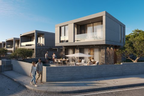 Вилла с 3 спальнями в Героскипу, Пафос,  № 37661 10