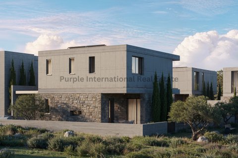 Вилла с 3 спальнями в Героскипу, Пафос, № 37662 26