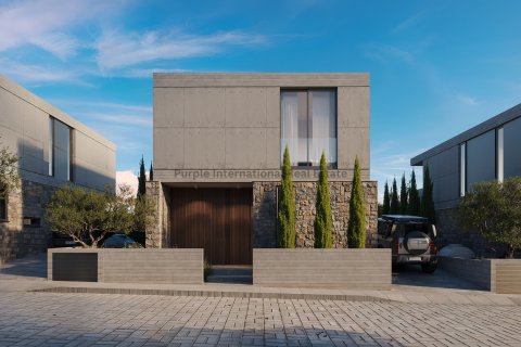 Вилла с 3 спальнями в Героскипу, Пафос, № 37662 24