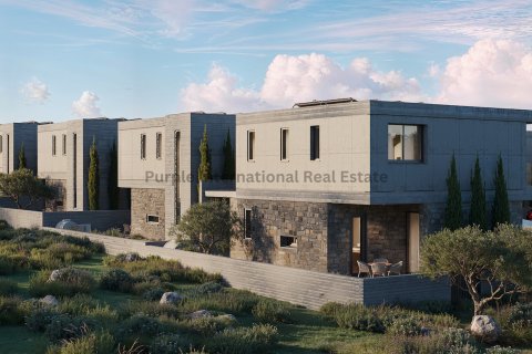 Вилла с 3 спальнями в Героскипу, Пафос, № 37662 19