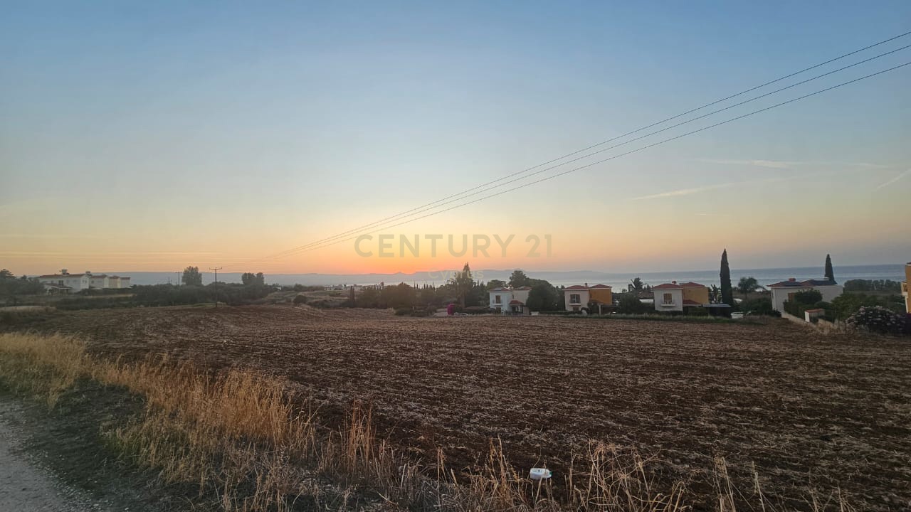 Land in Argaka, Paphos, Cyprus No. 53560