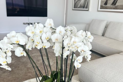 3 bedrooms Apartment in Larnaca, Larnaka, No. 39966 12