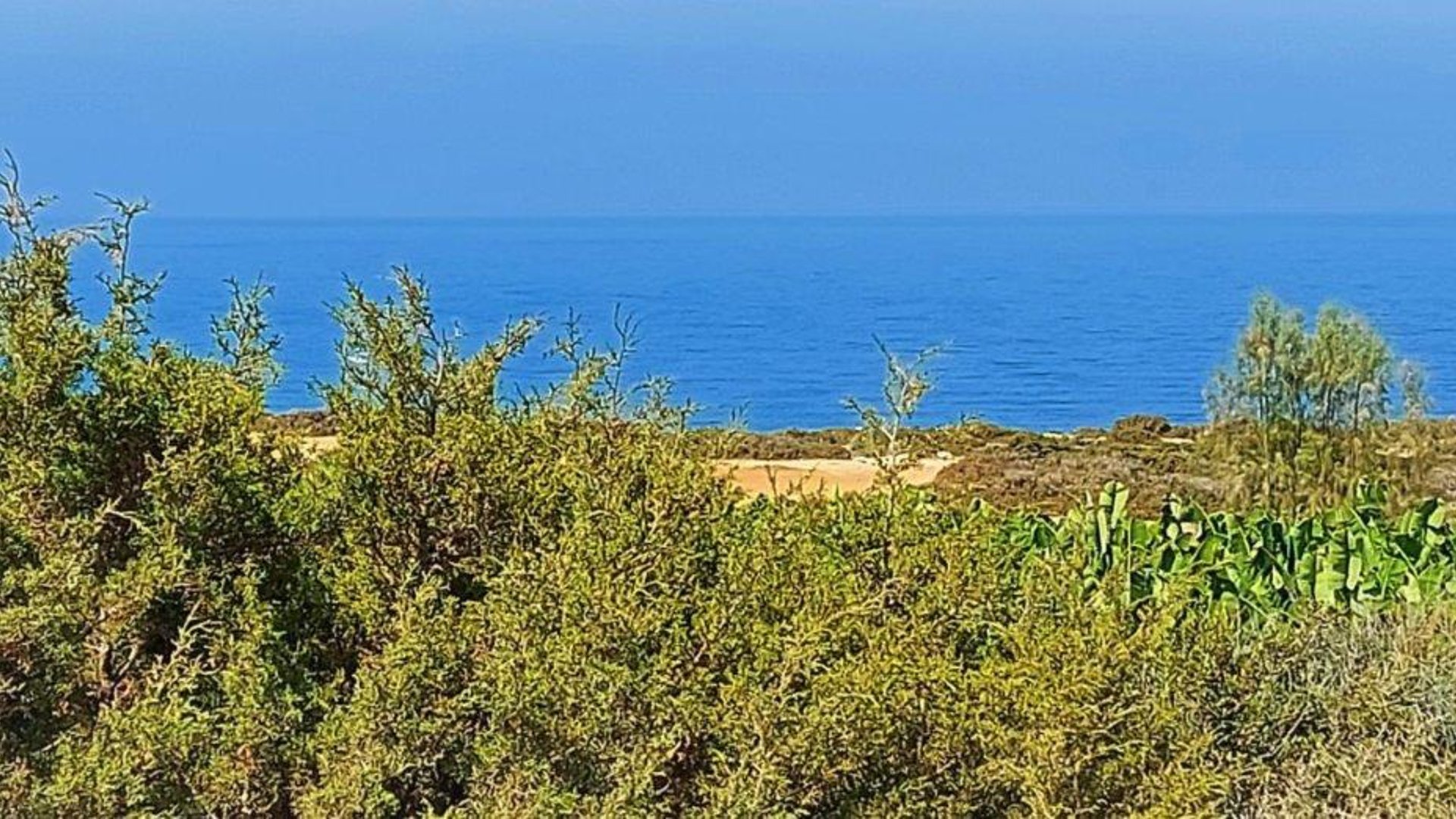 4 rooms Commercial property in Sea Caves, Pegeia, Paphos, Cyprus No. 28407