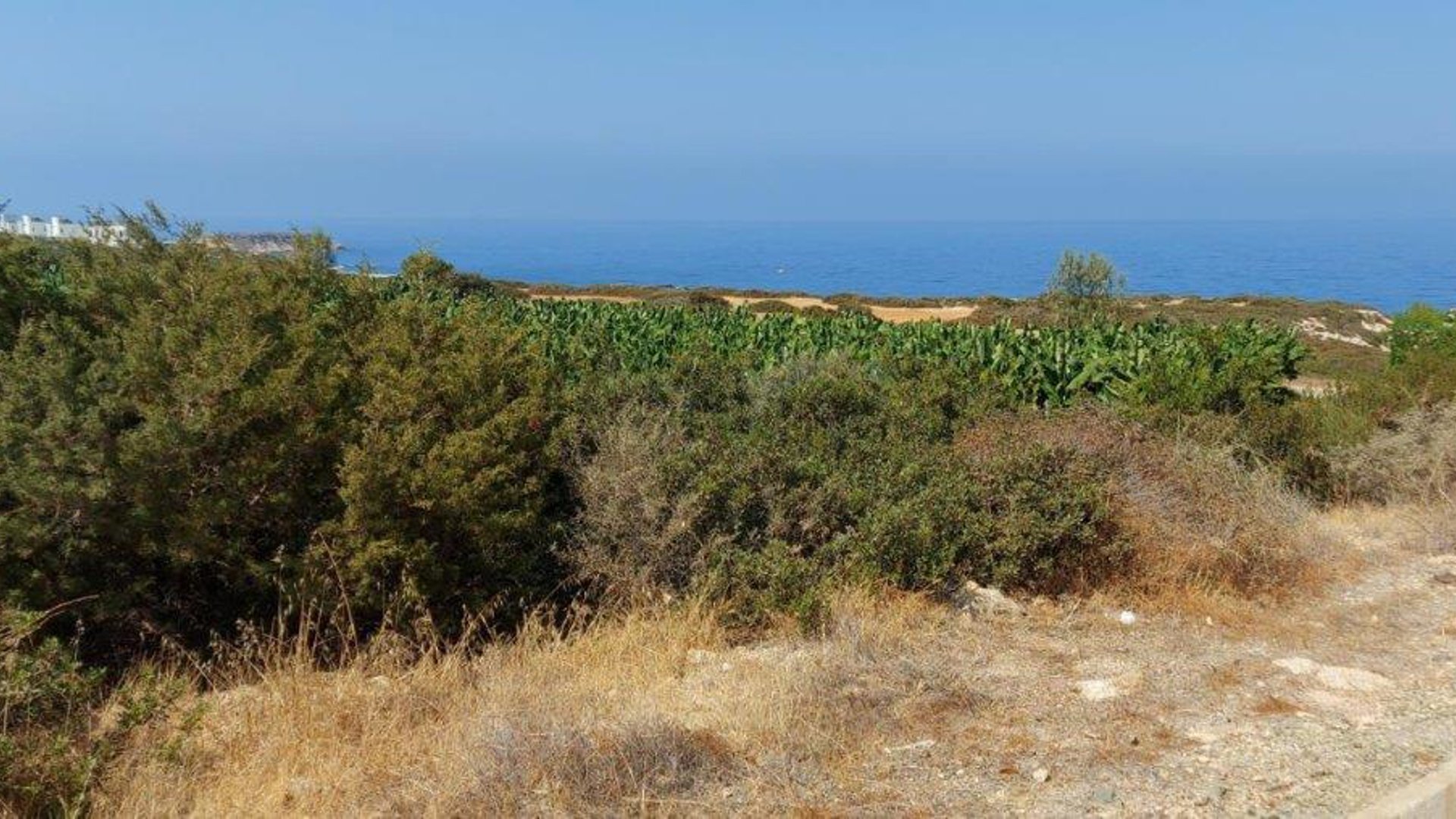 4 rooms Commercial property in Sea Caves, Pegeia, Paphos, Cyprus No. 28407