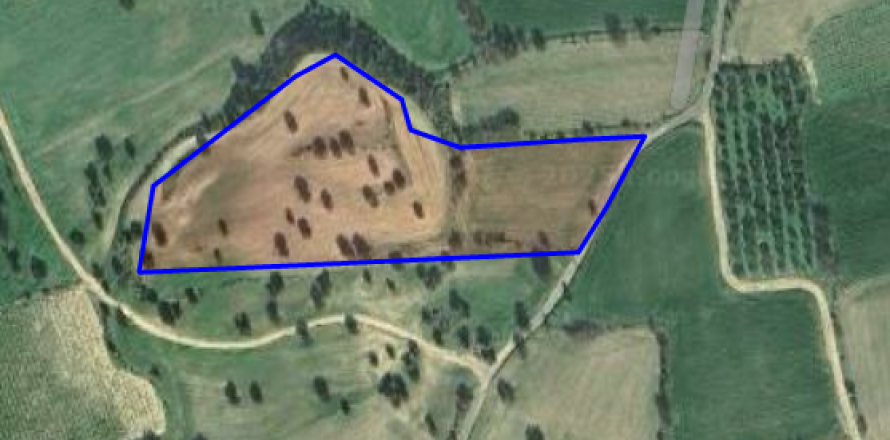 14047m2 Land in Anglisides, Larnaka,  No. 40569