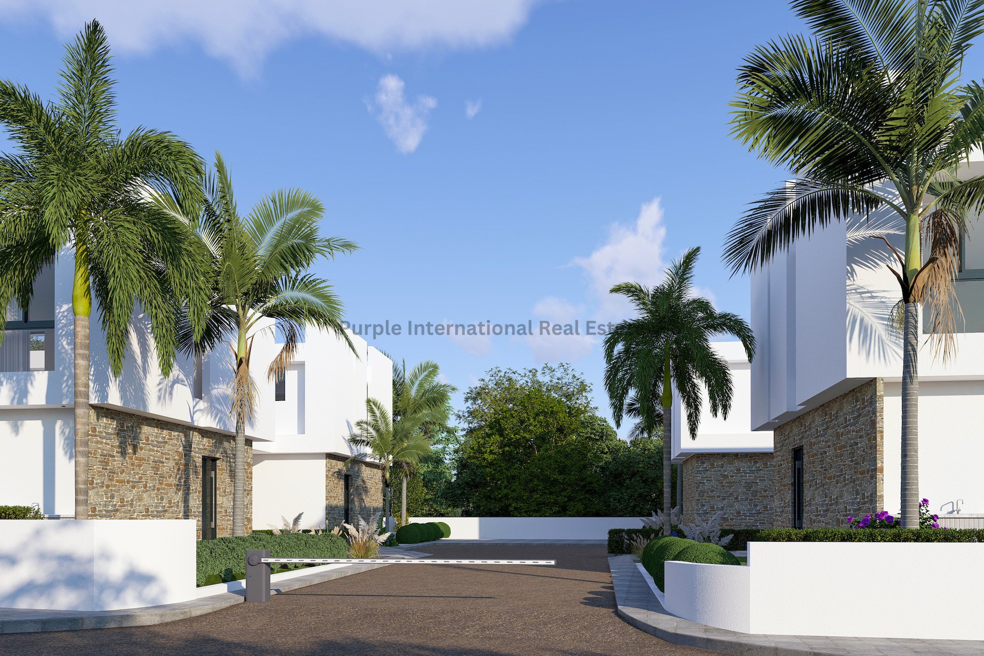 3 chambres Villa à Paralimni, Ammochostos, Chypre No. 39443