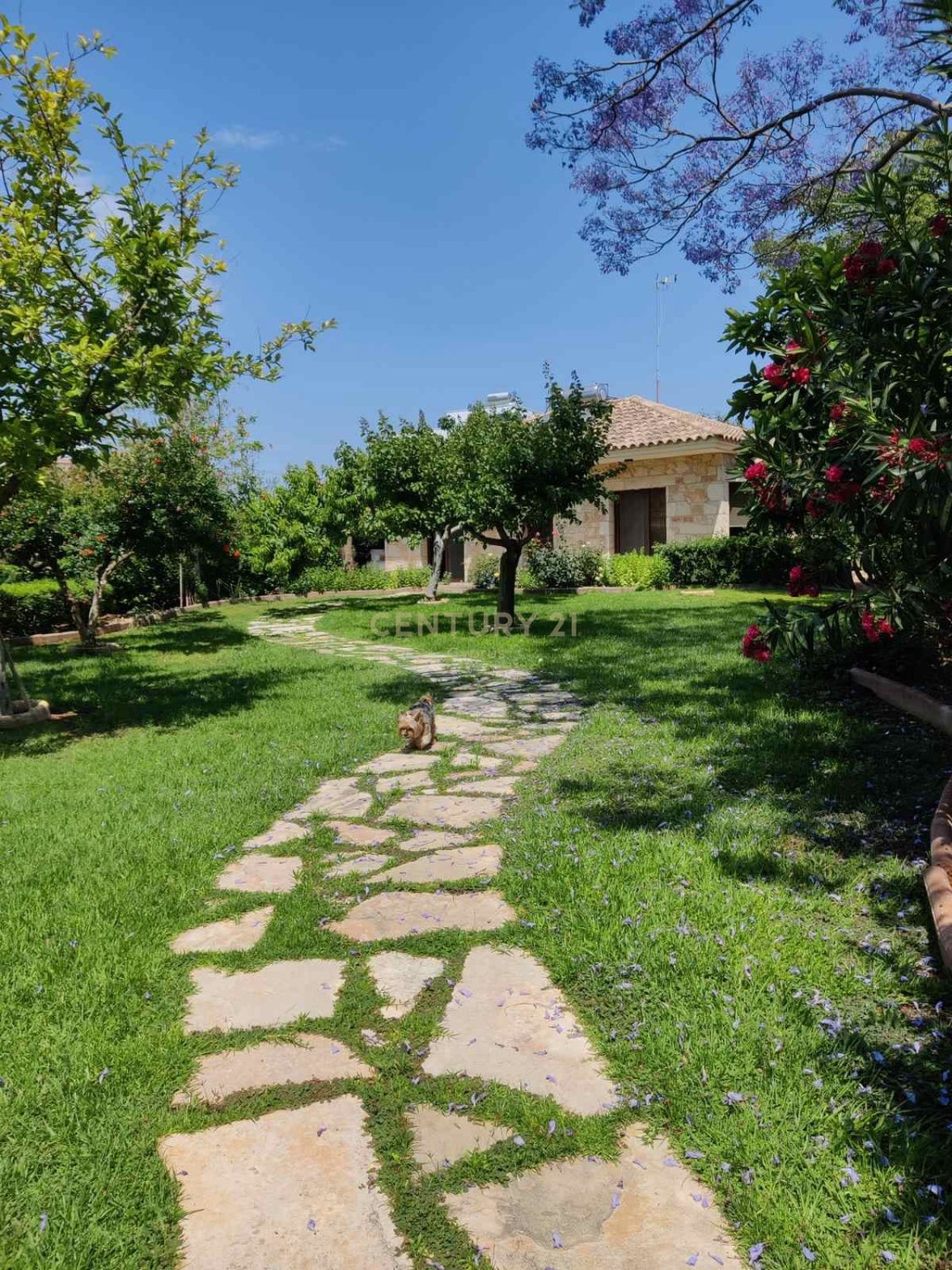 5 bedrooms Villa in Ypsonas, Limassol, Cyprus No. 54057