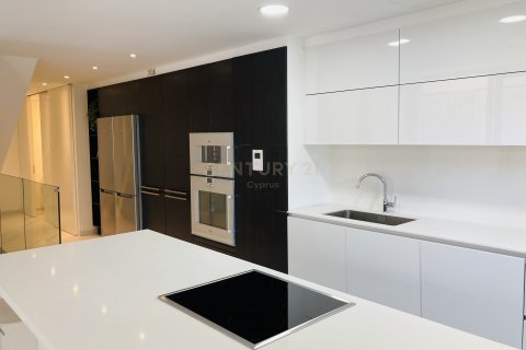 4 bedrooms Villa in Chryseleousa, Strovolos, Nicosia, No. 54056 5