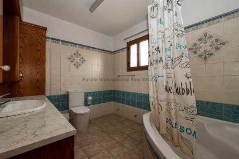 4 bedrooms Villa in Aradippou, Larnaka,  No. 51199 14