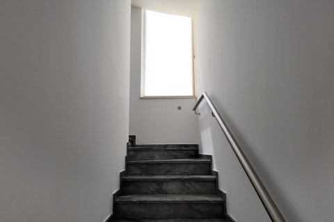 5 dormitorios Villa en Limassol,  No. 56131 11