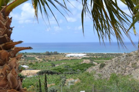 3 bedrooms Villa in Paphos,  No. 38219 3