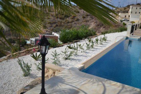 3 bedrooms Villa in Paphos,  No. 38219 14