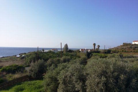 4 chambres Villa à Paphos,  No. 38216 15