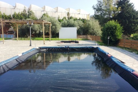 4 chambres Villa à Paphos,  No. 38216 12