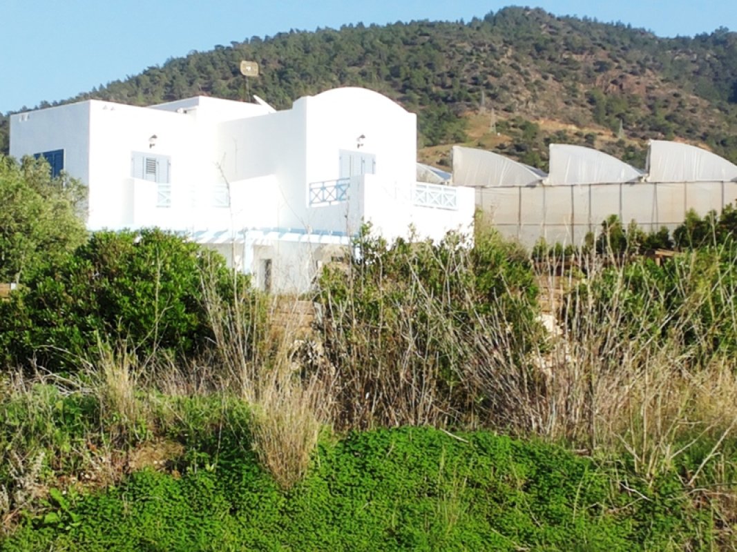 4 chambres Villa à Paphos, Chypre No. 38216