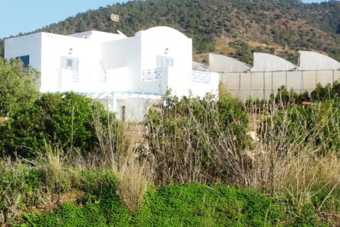 4 chambres Villa à Paphos,  No. 38216 14