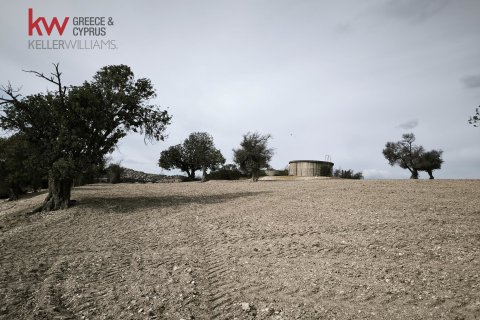Земельный участок 1004м2 в Агиос Теодорос, Ларнака,  № 56669 9