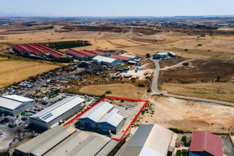 1075m2 Propriété commerciale à Nicosia, No. 37959 3
