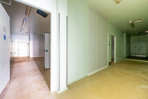 Коммерческая недвижимость 1210м2 в Пафос,  № 37962 4