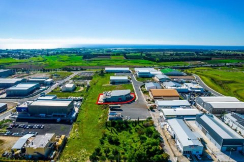 Коммерческая недвижимость 1210м2 в Пафос,  № 37962 13