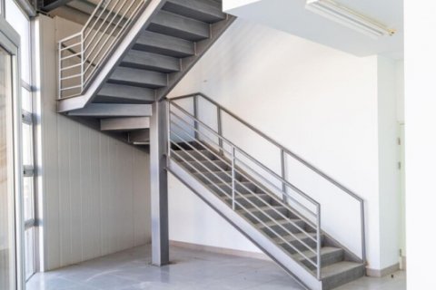 1210m2 Commercial property in Paphos,  No. 37962