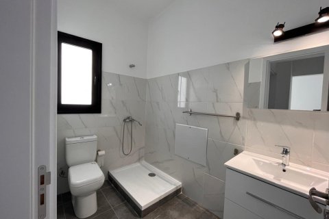 408m2 Bureau à Limassol,  No. 54156 20