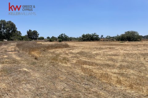 8945m2 Terrain à Liopetri, Ammochostos,  No. 56716 4