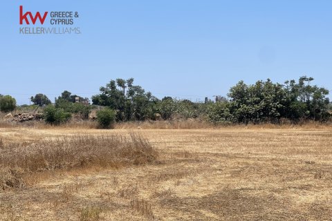 8945m2 Terrain à Liopetri, Ammochostos,  No. 56716 5