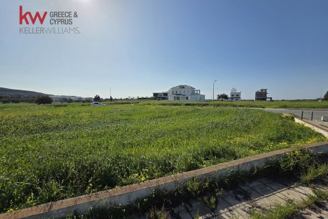 1645m2 Land in Pyla, Larnaka,  No. 50015 5