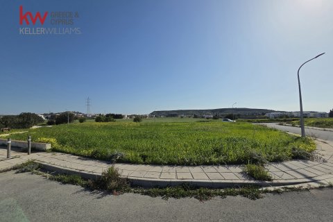 1645m2 Land in Pyla, Larnaka,  No. 50015