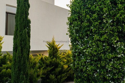 4 chambres Villa à Pegeia, Paphos,  No. 50959 14