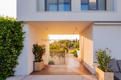 4 chambres Villa à Pegeia, Paphos,  No. 50959 9