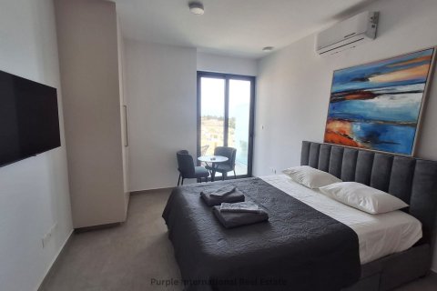 Квартира с 2 спальнями в Пафос, Кипр № 36604 21
