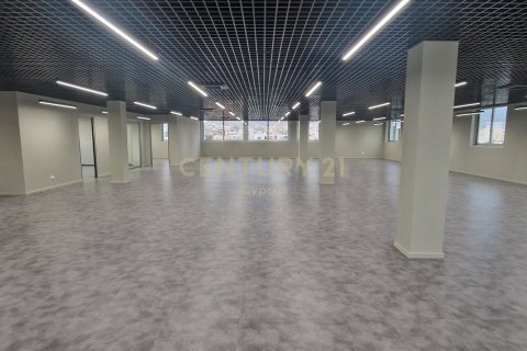 485m2 Oficina en Limassol,  No. 56041 4