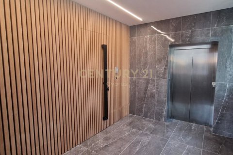 485m2 Oficina en Limassol,  No. 56041 10