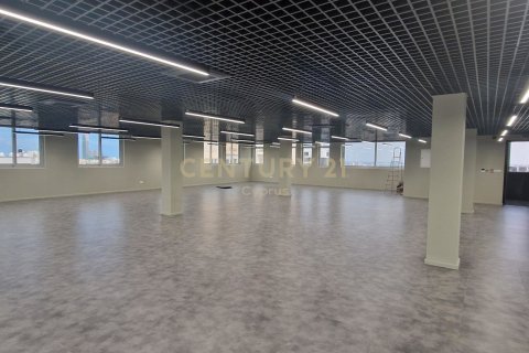 485m2 Oficina en Limassol,  No. 56041 2