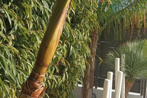 2 bedrooms Maisonette in Pernera, Ammochostos,  No. 40096 6