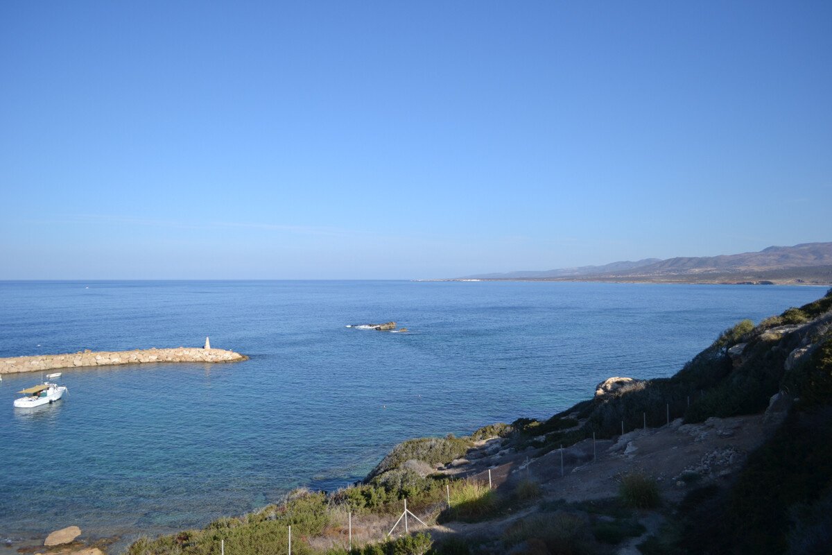 4 pièces Villa à Limassol, Chypre No. 38993