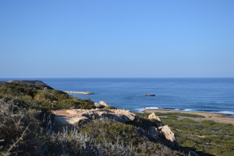 6 rooms Villa in Limassol,  No. 38994 14